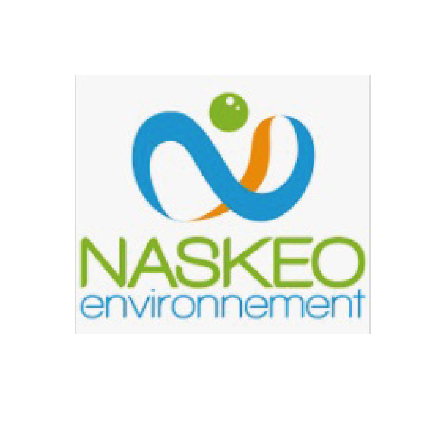 Photo du logo de la société NASKEO